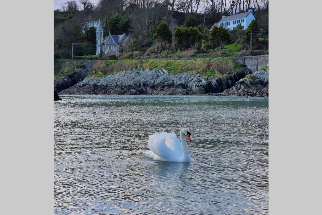 דירות Leap Thewaterline_Glandore Seaside House In A Dream Location In West Cork מראה חיצוני תמונה